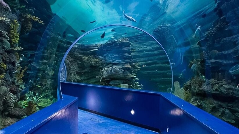 Sharjah Aquarium | An Eye-Catching Place to Visit